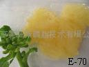 Egg yolk lecithin