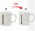 magic mug 5