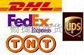 International Express(DHL,UPS,FedEx,TNT,EMS) 3