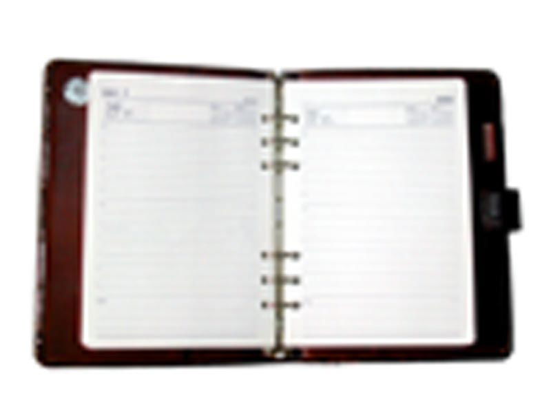 diary notebook 5