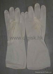 Latex Examination Gloves