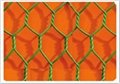 hexagonal  wire mesh
