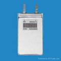 polymer battery