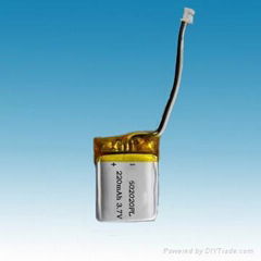 polymer battery battery