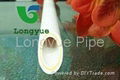 FR-PPR PIPE 1