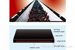 Conveyor Belt