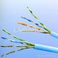 UTP CAT 5E Cable  1