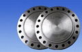 Forged flange 1