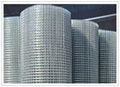 Welded  wire  mesh