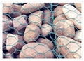 Gabion Box 1