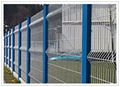 Wire Mesh Fence