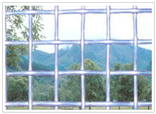 Galvanized Square Wire Mesh