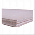 COMMERCIAL PLYWOOD 4