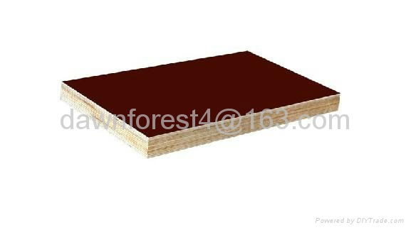 Black/brown film faced plywood 4