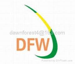 Dawn forests wood industrial shouguang co ltd