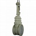 giant gate valve