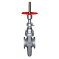 through conduit gate valve