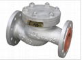 lift check valve