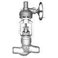 pressure seal globe valve