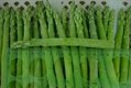 iqf asparagus spear