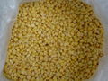 iqf sweet corn 1