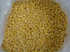 iqf sweet corn