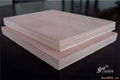 plywood  commercial  plywood