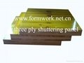three ply shuttering panel  1