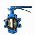 butterfly valve 1