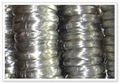 Galvanized Wire