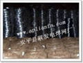 Galvanized Wire 1