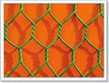 Hexagonal Wire Netting 1