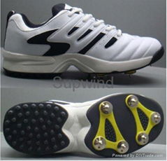 Cricket Shoes