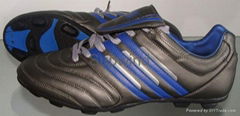 Football/Soccer Shoes