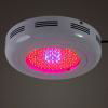 High power Plant Grow light 90W RED and Blue color 1