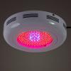 High power Plant Grow light 90W RED and Blue color