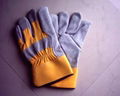 garden glove