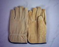 garden glove 5