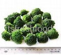 frozen broccoli 1