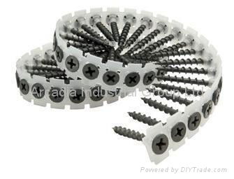 Collated Screws