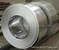 galvanized steel strip,steel coil