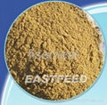 fishmeal