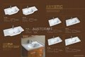 ceramic sanitary basin