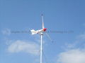 wind and solar hybrid 2