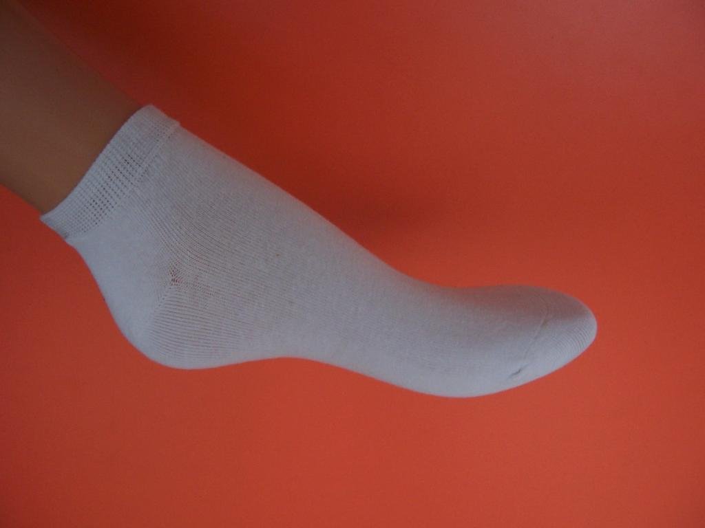 basic cotton socks