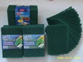 scouring pad,kitchen sponge,sponge scourer,cellulose sponge,car sponge 5