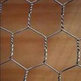 hexagonal wire mesh 1