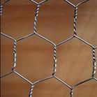 hexagonal wire mesh