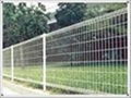 wire mesh fence  1