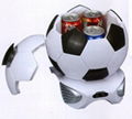 football mini-refrigeratory  1